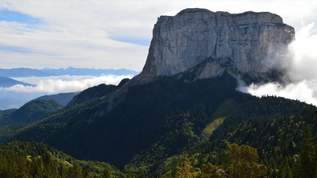 Tête de rubrique : rôle, contenu et contraintes éditoriales